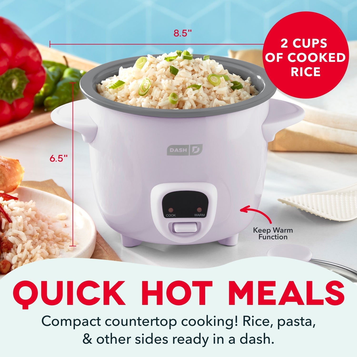 Mini Rice Cooker with Keep Warm